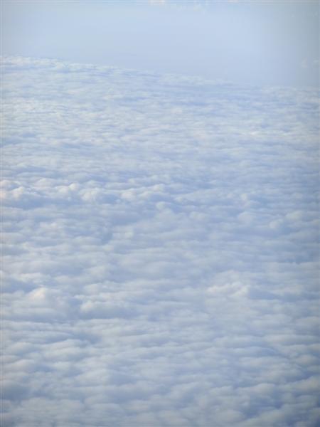 DSCF9425 (Medium).JPG
